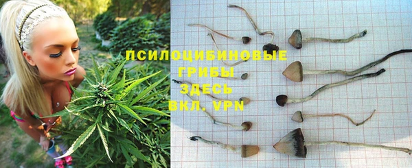 экстази Корсаков
