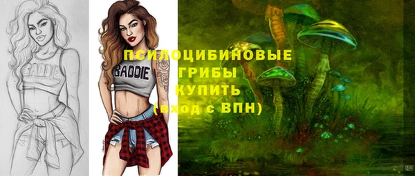 экстази Корсаков