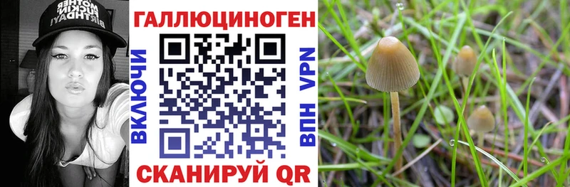 Купить закладки  Кочубеевское  Псилоцибиновые грибы ЛСД 